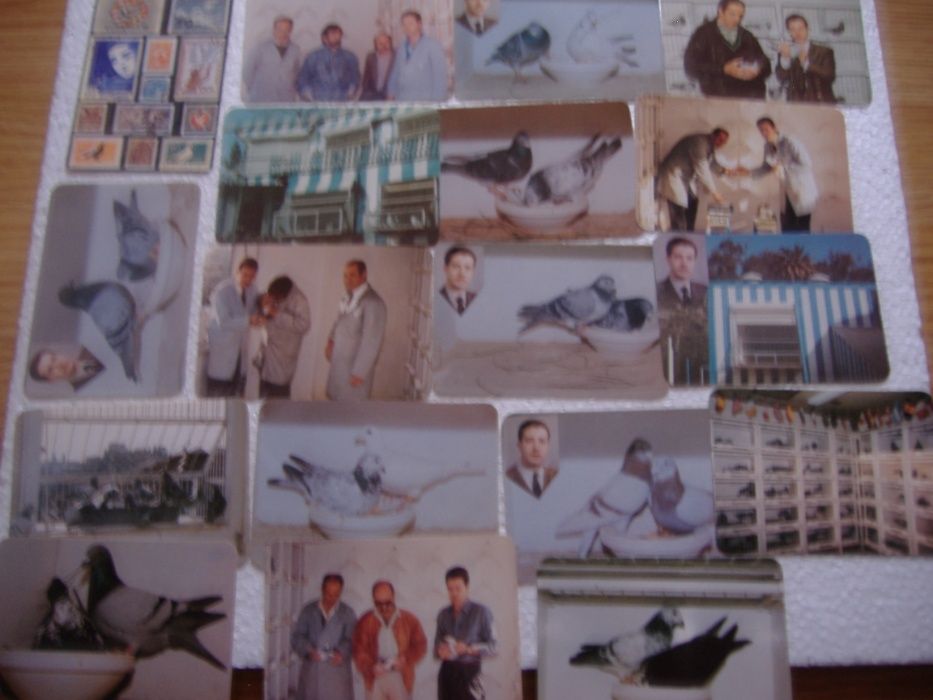 Calendários Rambo + Sonhos + Cães + Futebol + Para-quedismo