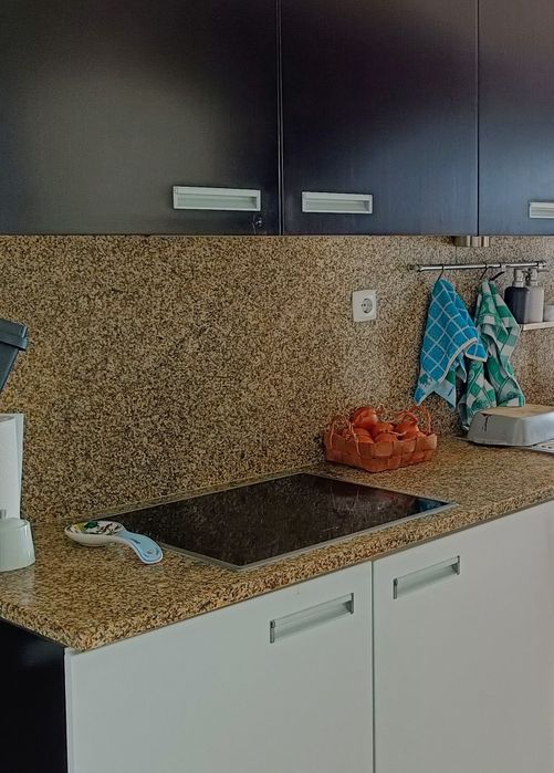 Eletrodomésticos de Cozinha (Forno, Micro-ondas Siemens e Máquina Louça Indesit)