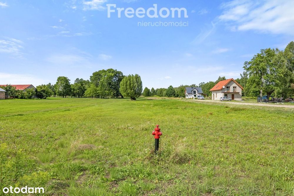 Działka 2920 m² | Media | 389 000 zł | Blisko S17 - Widok 3