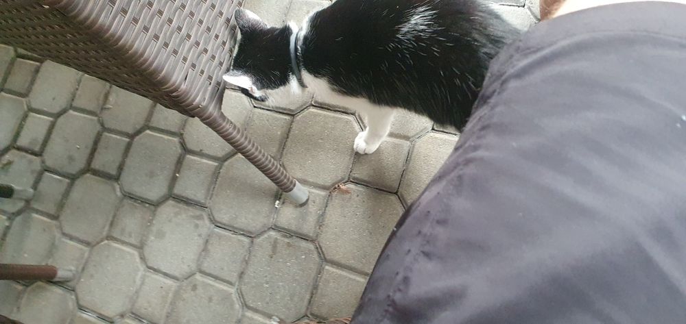 Zbiorniki na olej opałowy paliwa