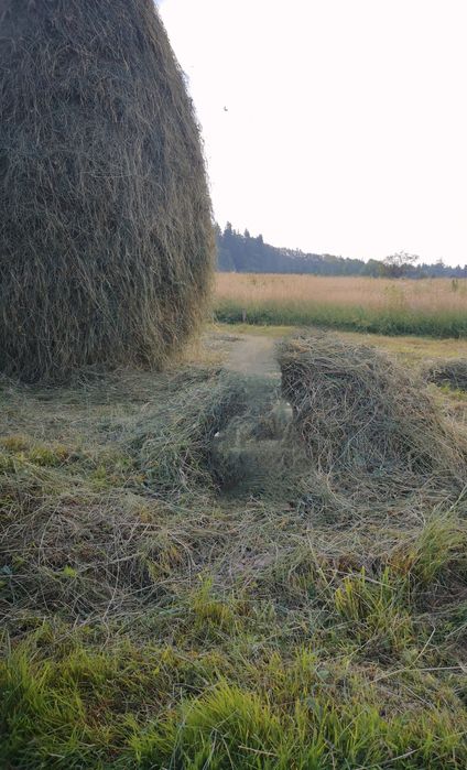 Сіно ручного косіння