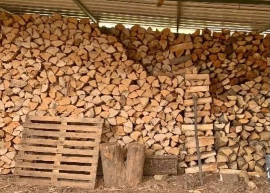 Vendo lenha de pinho seca Não passe frio Faça já a sua encomenda