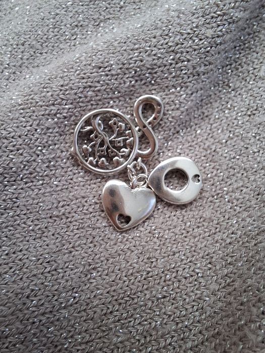 Charms family rodzina do bransoletek modułowych