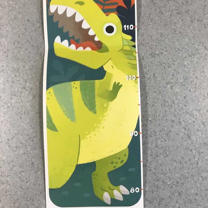 Miarka wzrostu CzuCzu Dinozaury