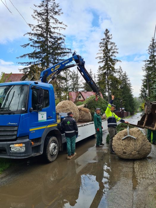 Usługi HDS / Dźwig