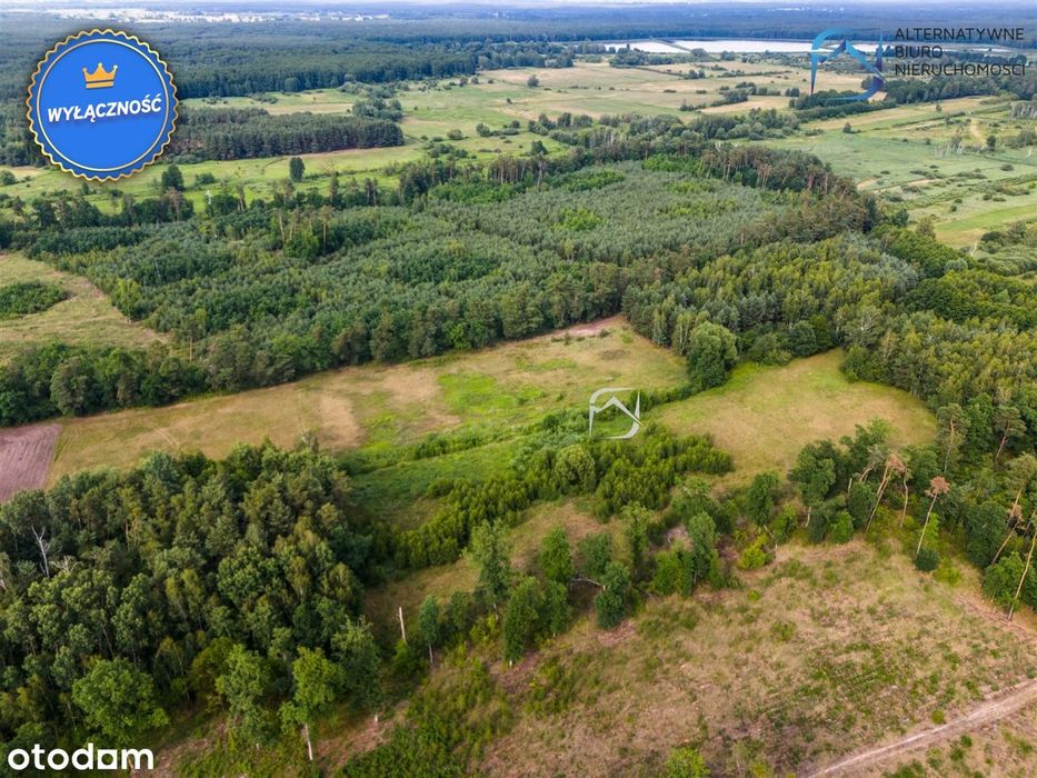 Ustronna działka 3112 m² | Niedźwiada Duża - Więcej