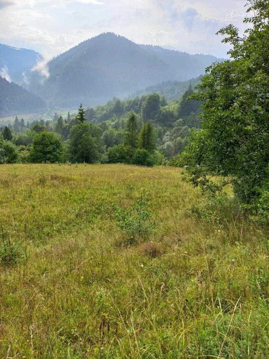 Продаж земельної ділянки, 64.05 сот, Тухля