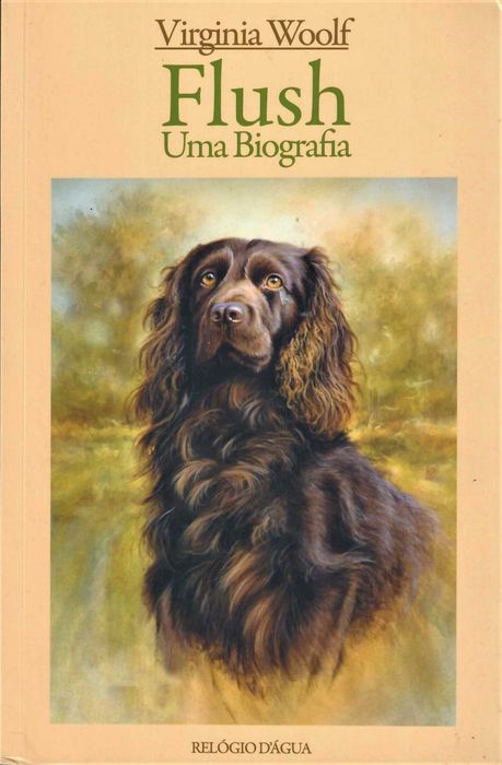 VIRGINIA WOOLF «Cartas de Amor» + 5 títulos