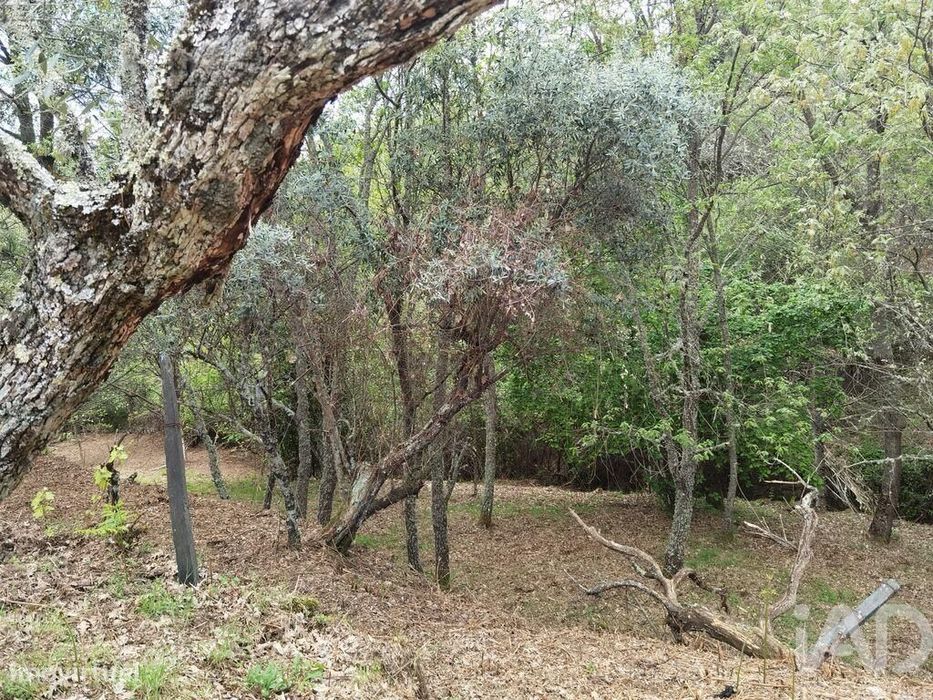 Casa de Campo em Aldeias e Mangualde da Serra de 40,00 m2