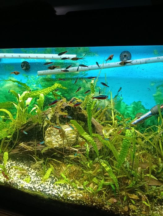 Akwarium 240 l, zestaw