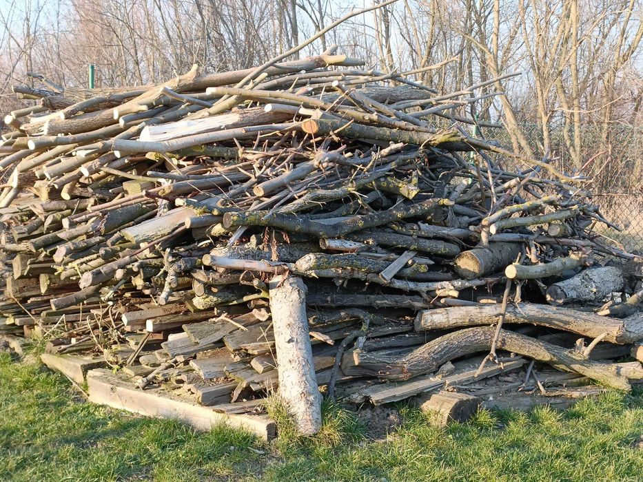 Drzewo opałowe na zimę