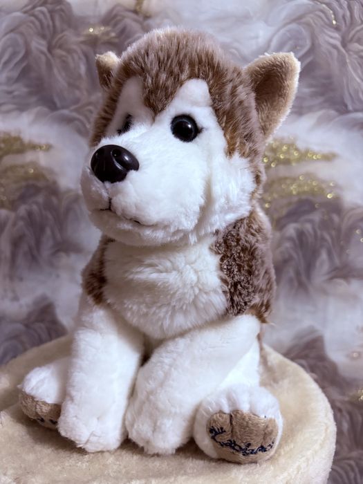 Фірма Лапланд найгарніші