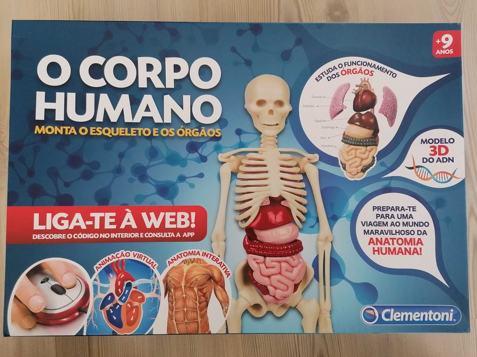 Puzzle didático do corpo humano
