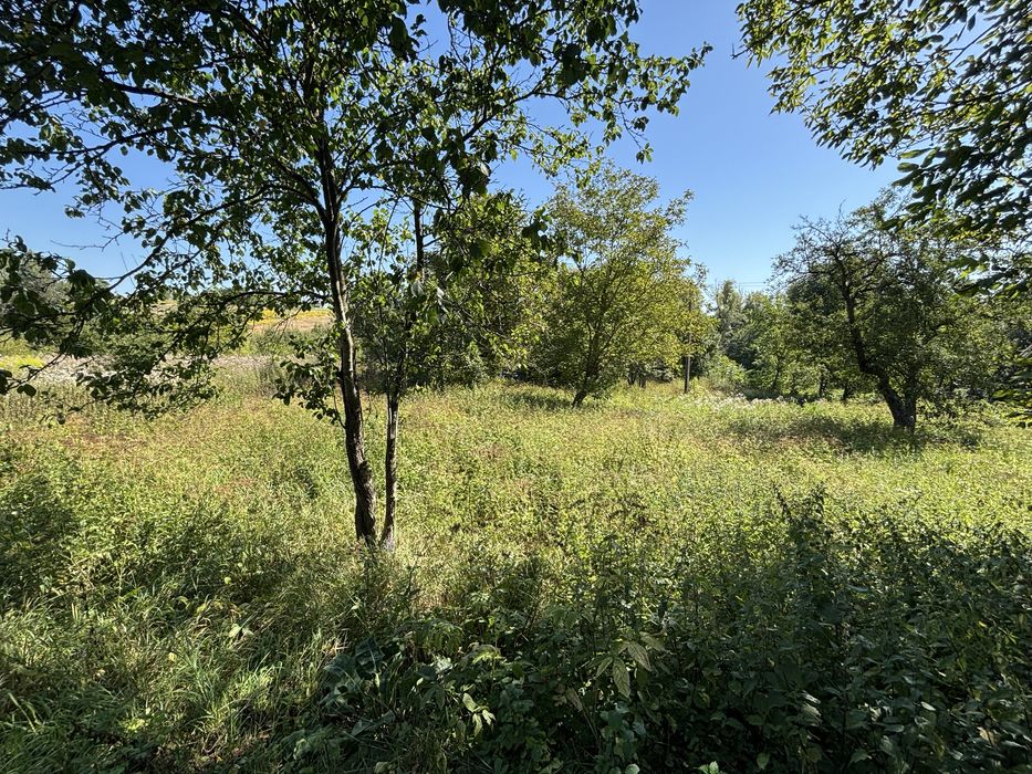 Продаж ділянка 28 сотих. Сілець. Світло. Газ. Вода. Асфальт. Будинки