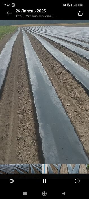 Шнековий Грядуутворювач