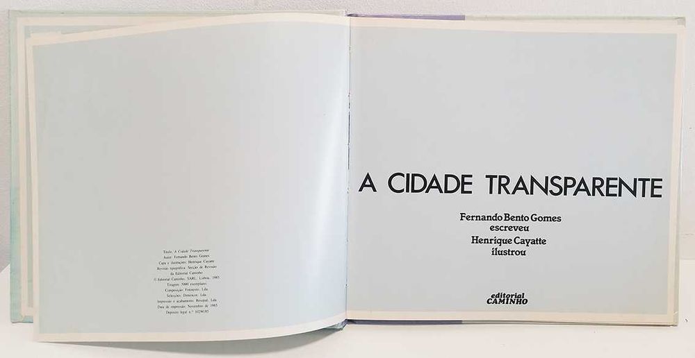 A Cidade Transparente, de Fernando Bento Gomes e Henrique Cayatte