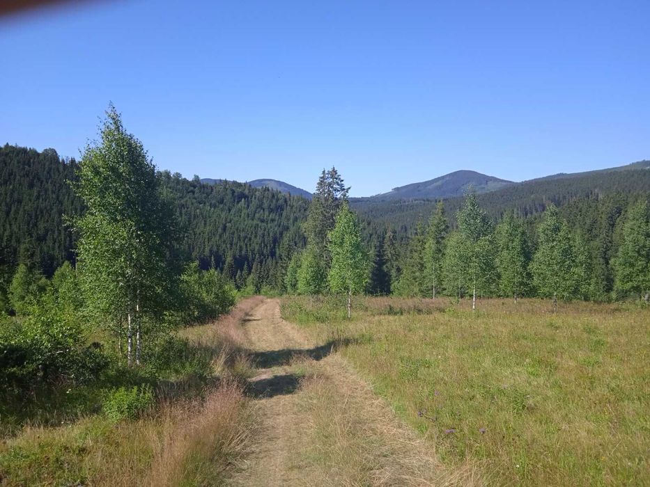 Продаж земельної ділянки під забудову с Вишків