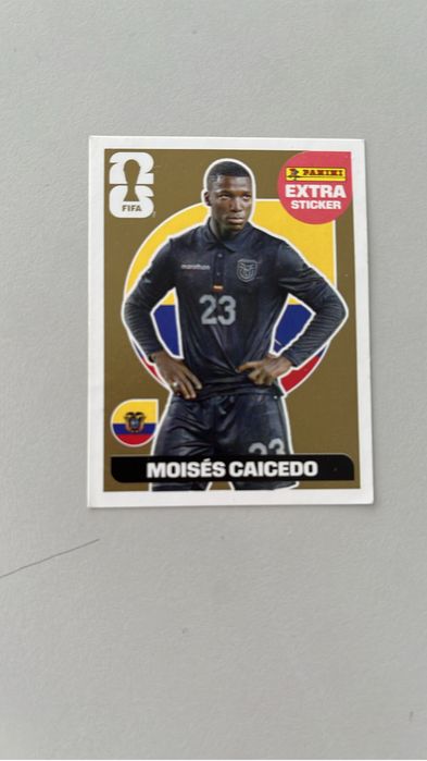 Caicedo gold nova 2026
