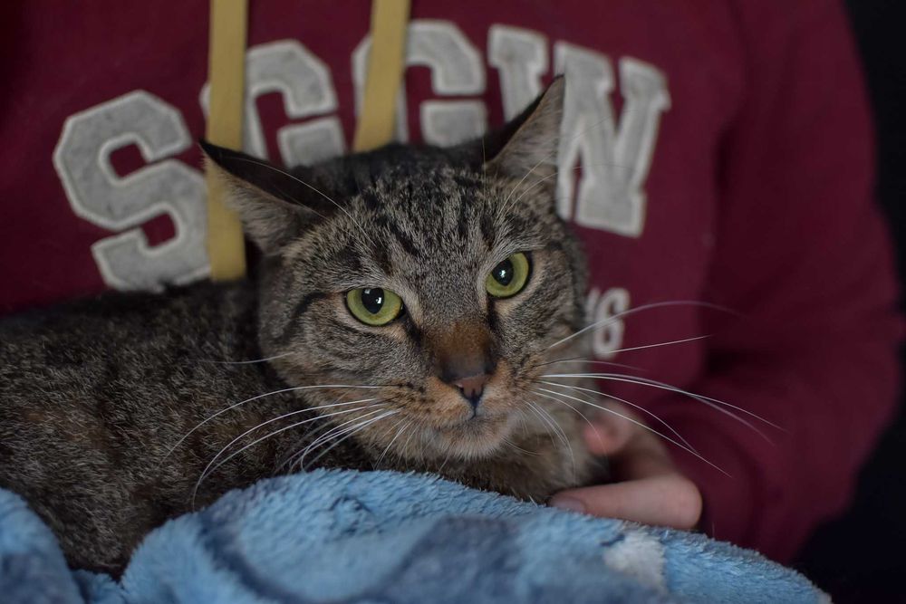 Jakiż to chłopiec piękny i młody? Świteź!