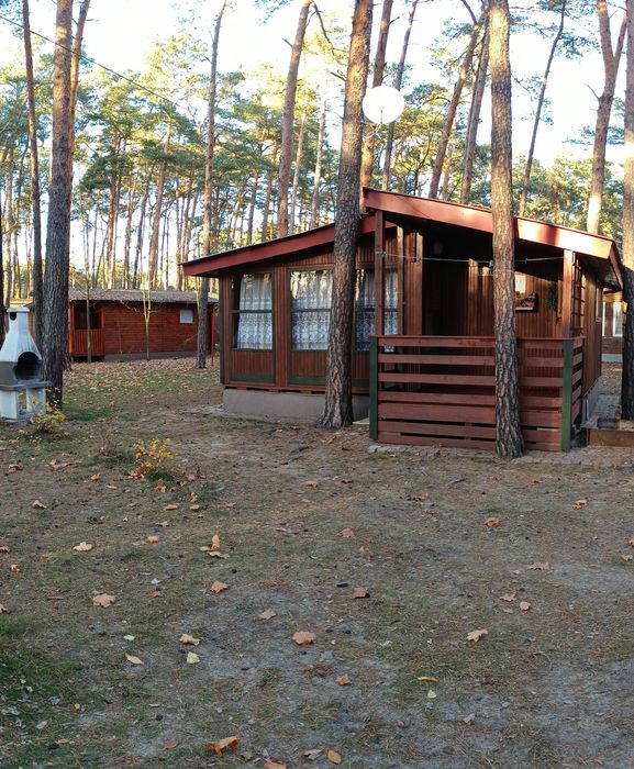 Sielpia Sielpi Domek Domki Ow  4,6,9 os centrum jezioro las 2   wczasy