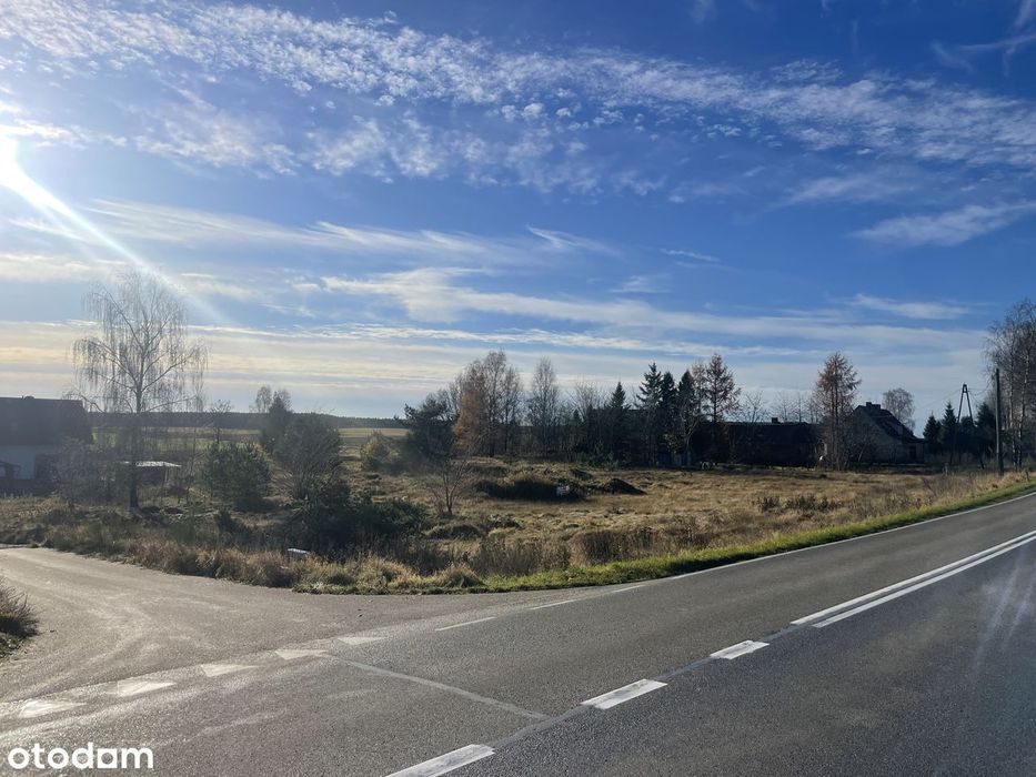 Oferuję działki nr 191/2 i 191/3 położone w miejscowości Kleszczyniec