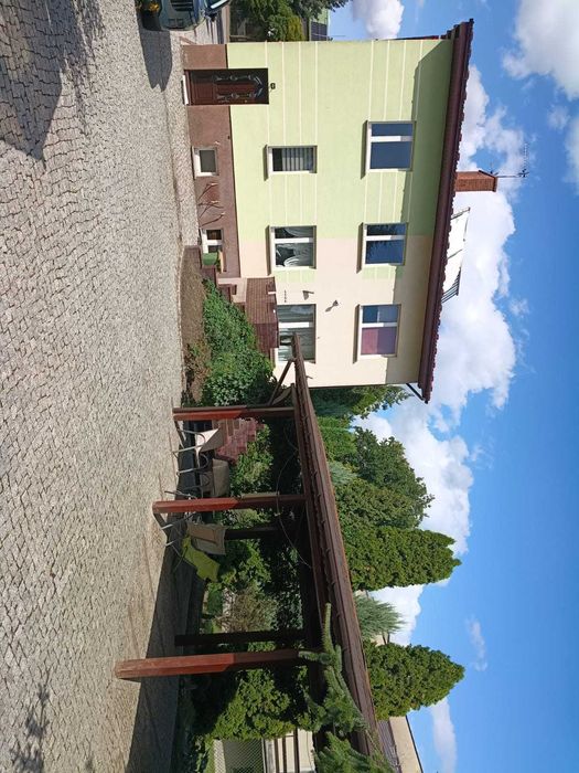 Zdjęcie 8