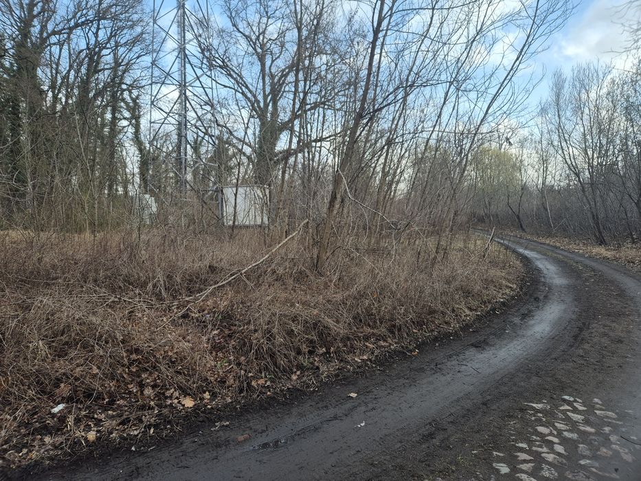 Działki w Murzynowie