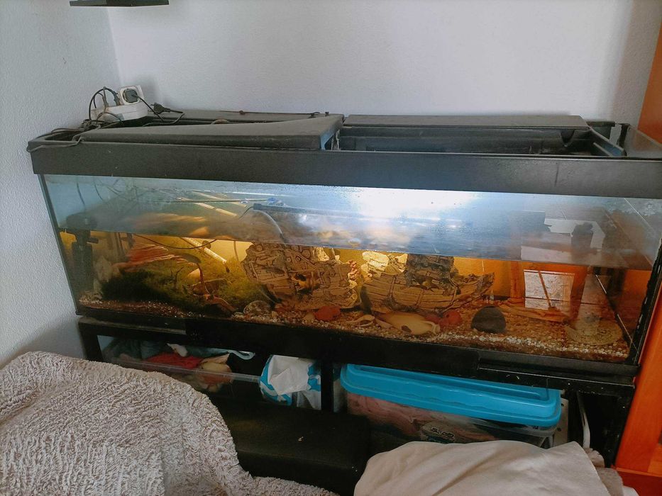 Vendo aquário com estrutura de ferro