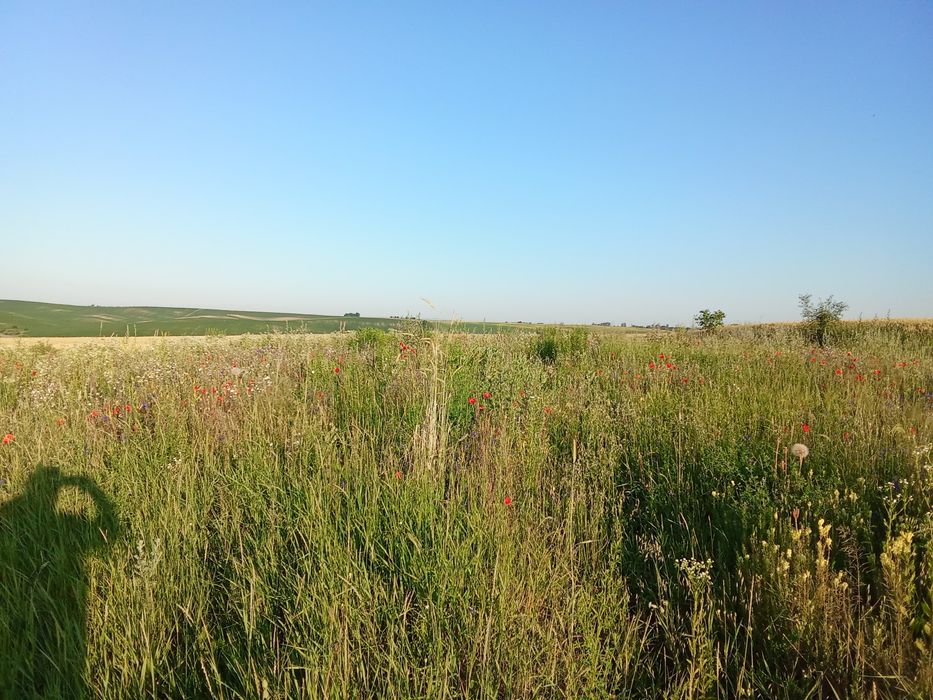 Продам земельну ділянку