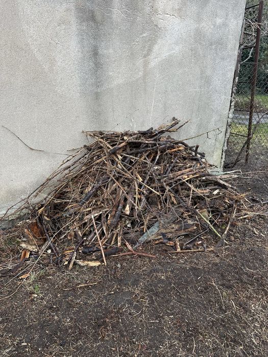 Zrębki, biomasa, kompost