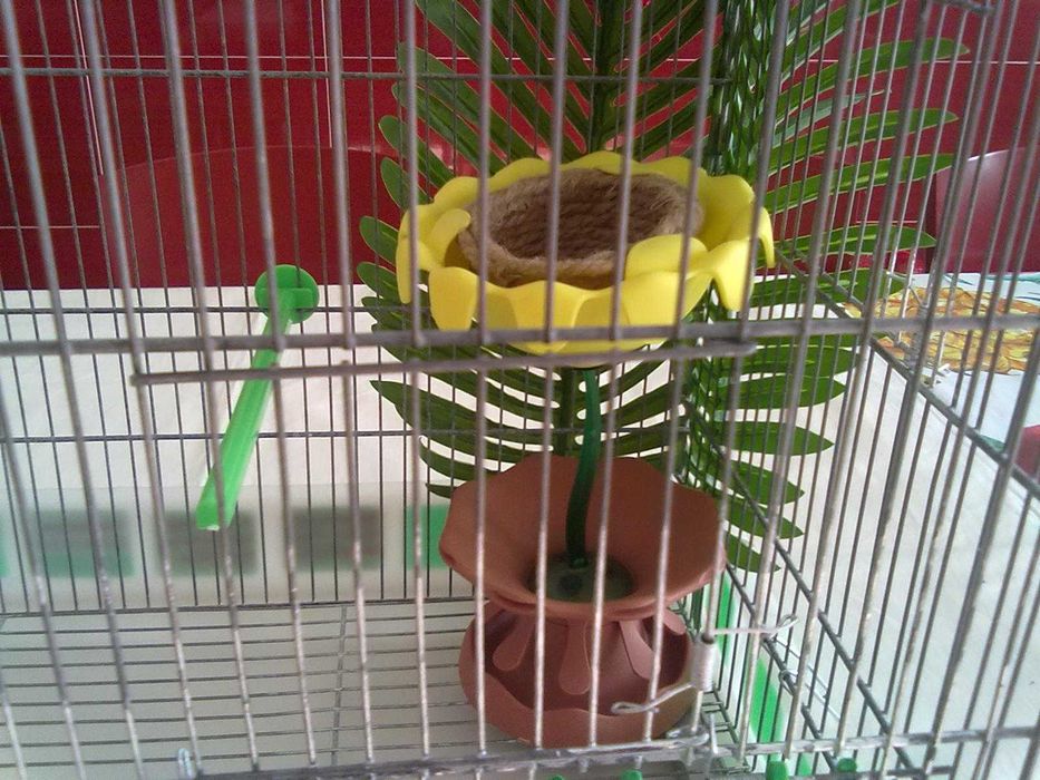 Viveiro de criação completo