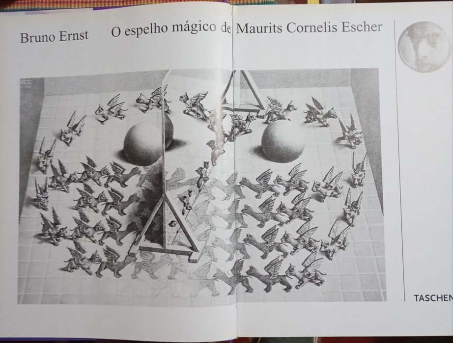 O espelho mágico de M. C. Escher