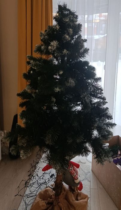 Sprzedam choinkę na pniu 165cm