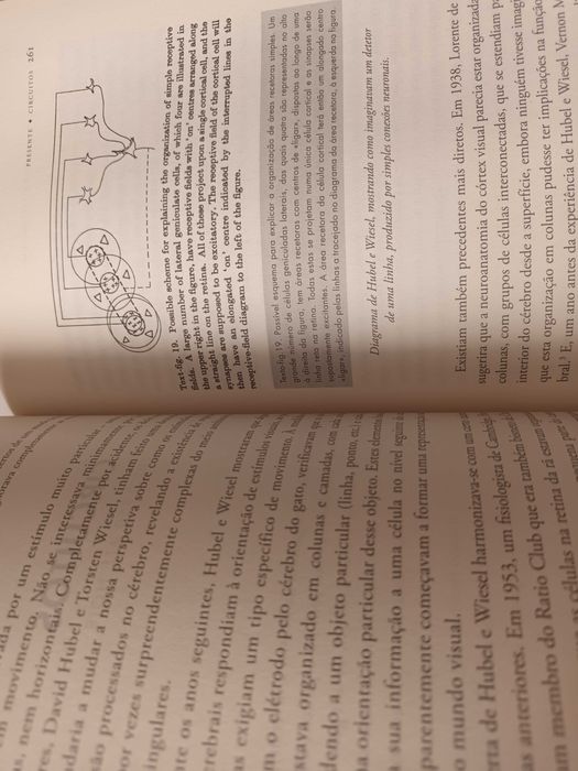 "Uma História do Cérebro" por Matthew Cobb - 1ª Edição