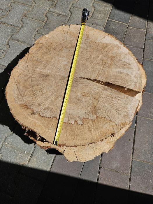 Krążek dębowy grubość 9cm