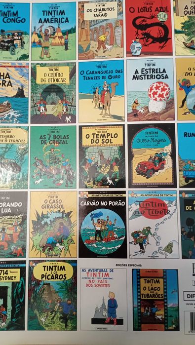Coleção Completa Tintin. Público.