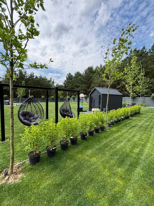 Usługi ogrodnicze - zakładanie ogrodów, pielęgnacja, przycinanie tuj