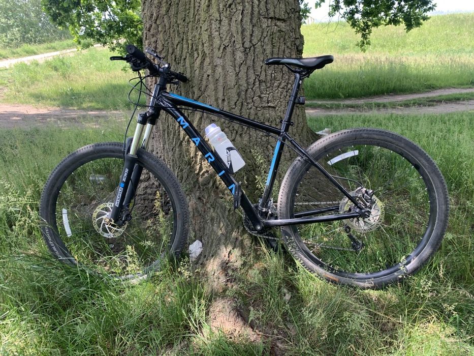 Marin Eldridge Grade 1 rozmar M