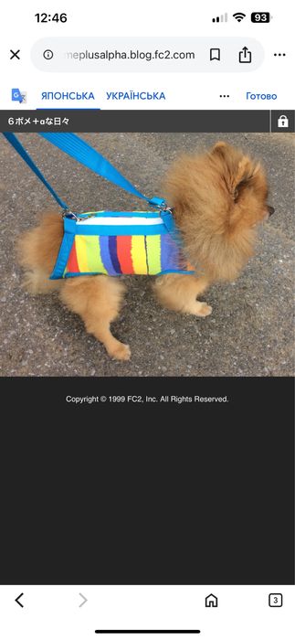 Сумка поводок для маленьких собак