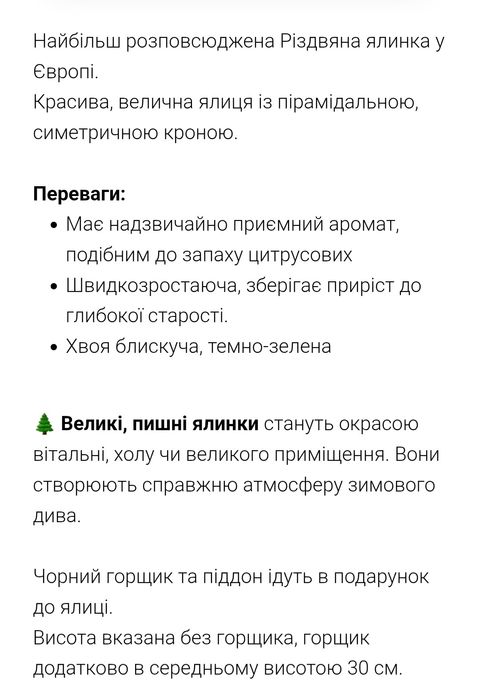 Жива Ялинка в Горщику до Різдва та Нового Року
