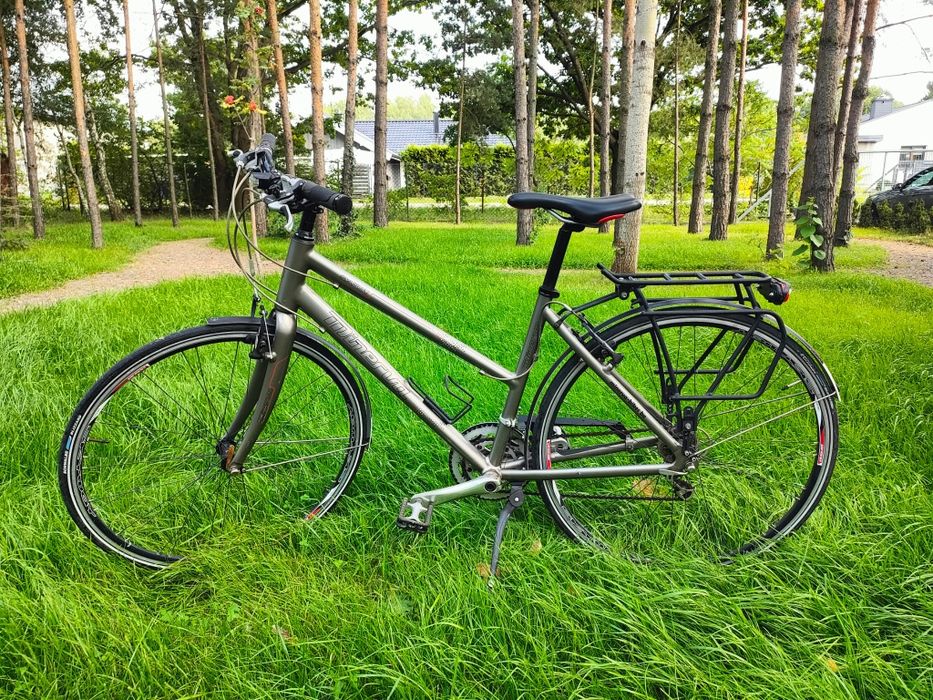 Rower markowy Minerva Skyway damski
