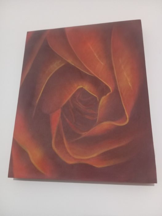 Quadro com rosa vermelho