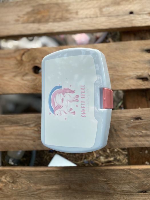 Коробка для хранения Ланч бокс