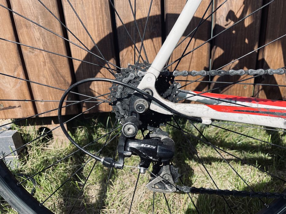 Specialized secteur comp