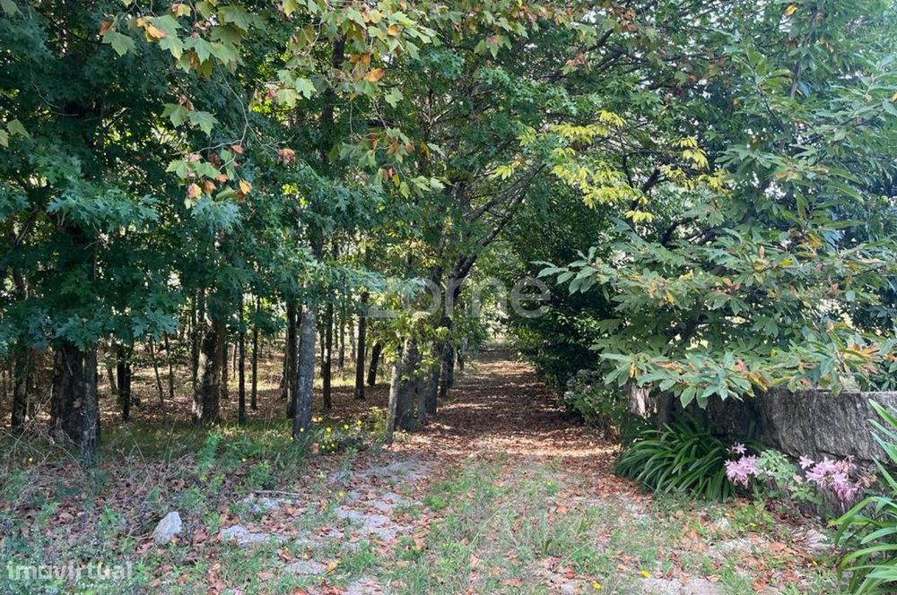 Terreno com 10 000M2 em, Sanfins, Paços de Ferreira