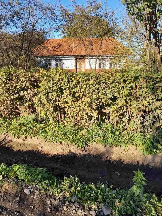 Продається будиночок в с.Коршів