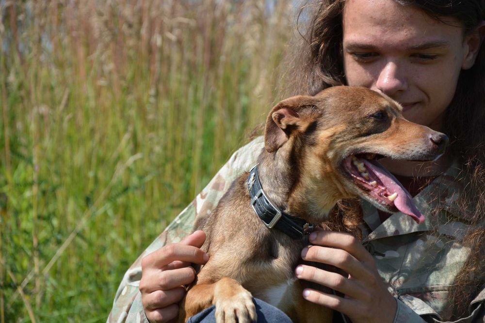 Mały, wrażliwy Snickers szuka domu pełnego spokoju i czułości