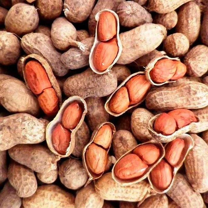 Насіння Арахіс Валенсія