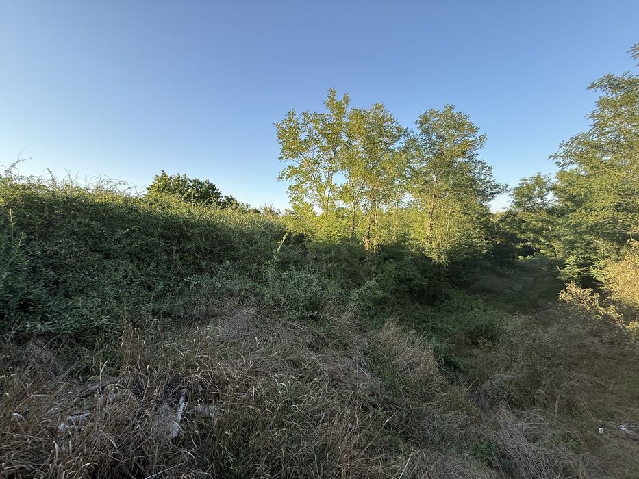 Продам будинок Сурсько-Литовське