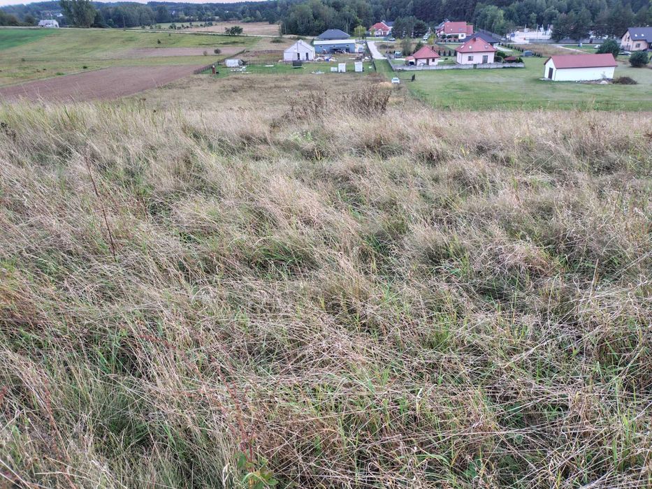 Zdjęcie 7